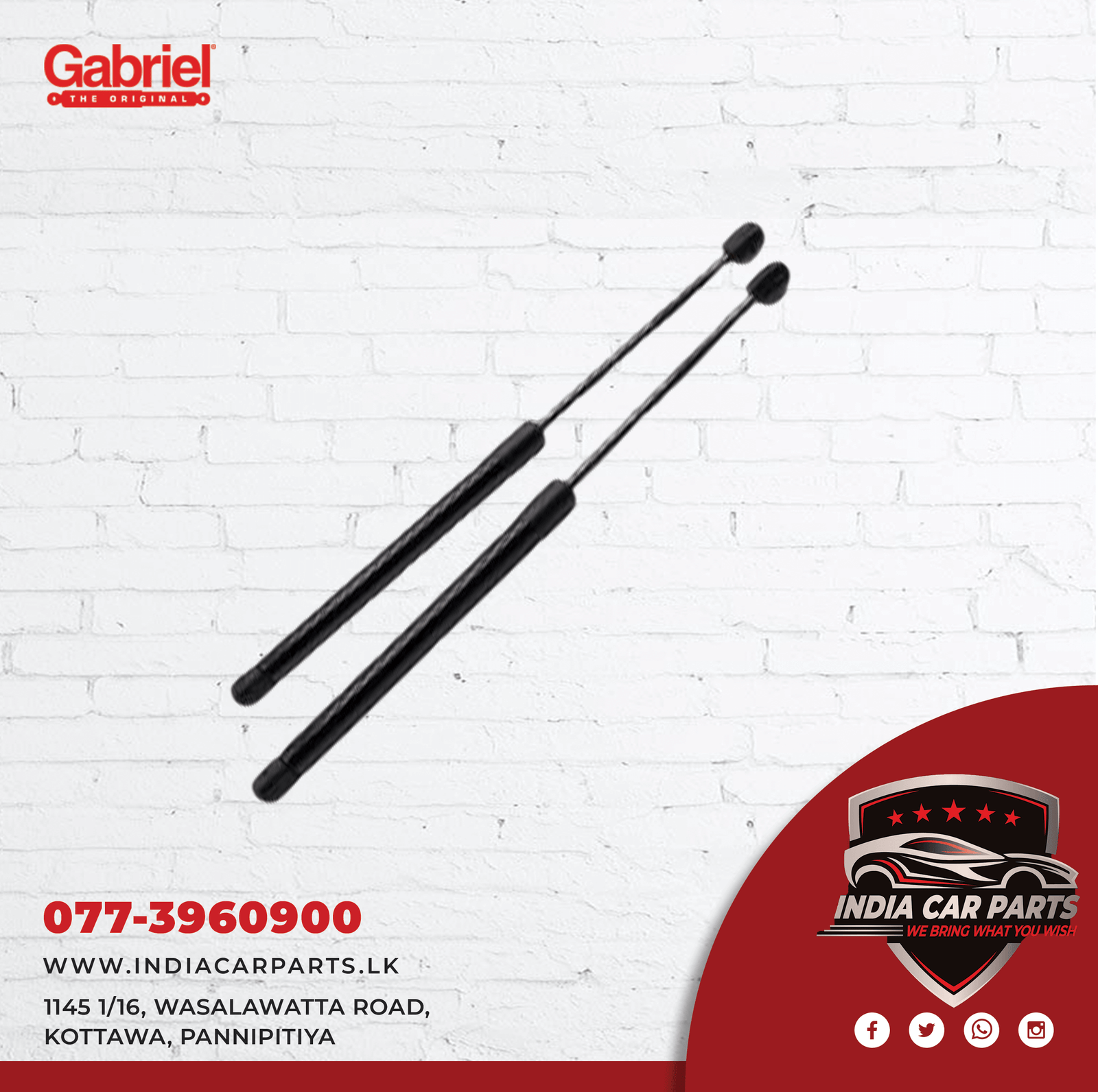 Alto-800-Dickey-Shocks